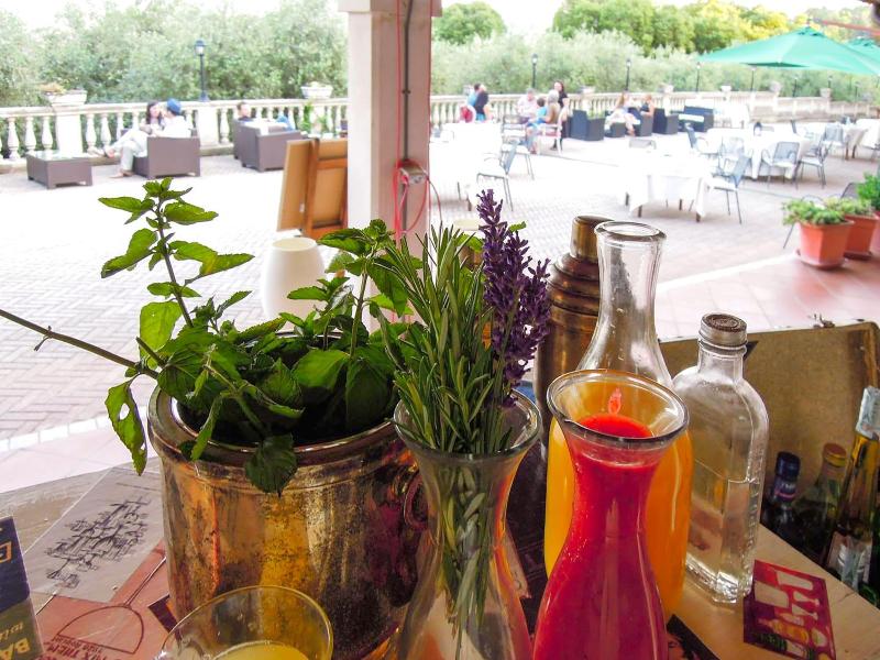 Locanda Degli Ulivi - Bar