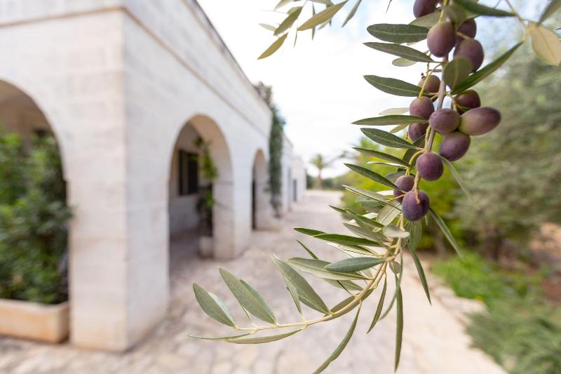 Masseria San Domenico - Aktivite