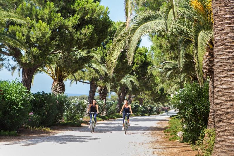 Masseria San Domenico - Genel