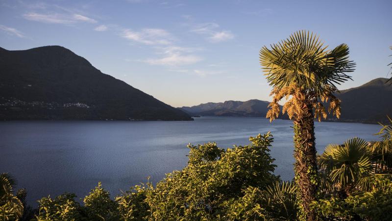 Parkhotel Brenscino - Genel