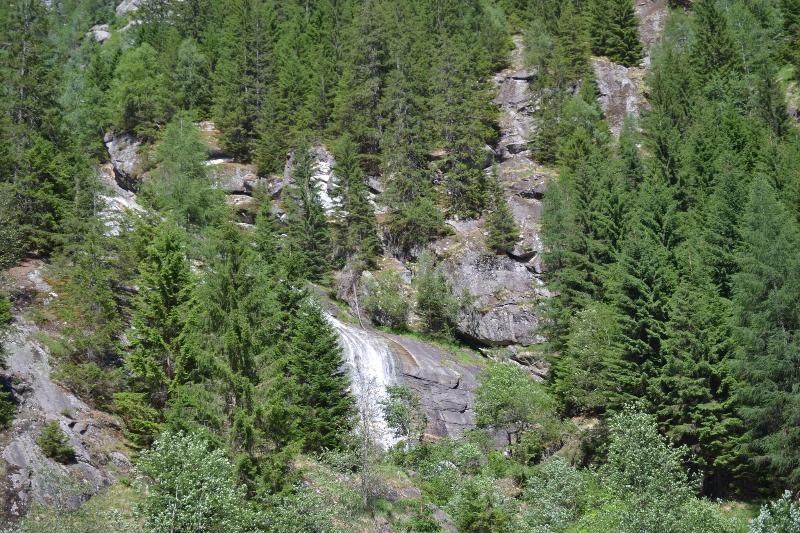 Hotel Berghof - Genel