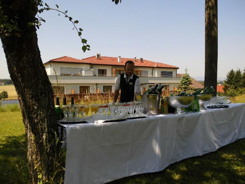 Gasthof Hotel Stockinger - Teras