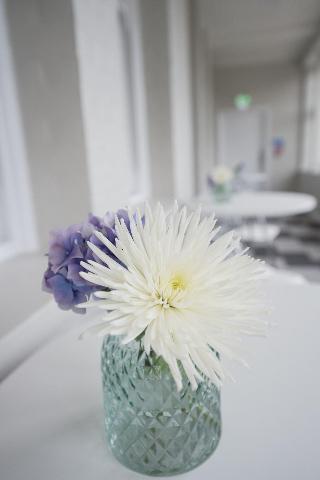Yarrow Hotel fotoÄŸrafÄ±
