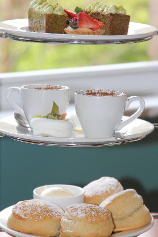 Yarrow Hotel fotoÄŸrafÄ±