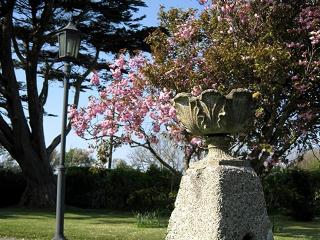 Trelawne Hotel fotoÄŸrafÄ±