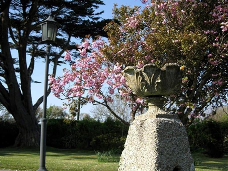 Trelawne Hotel - Oda