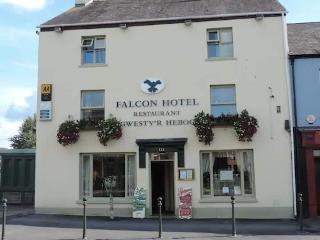 Falcon Hotel otel fotoğrafı