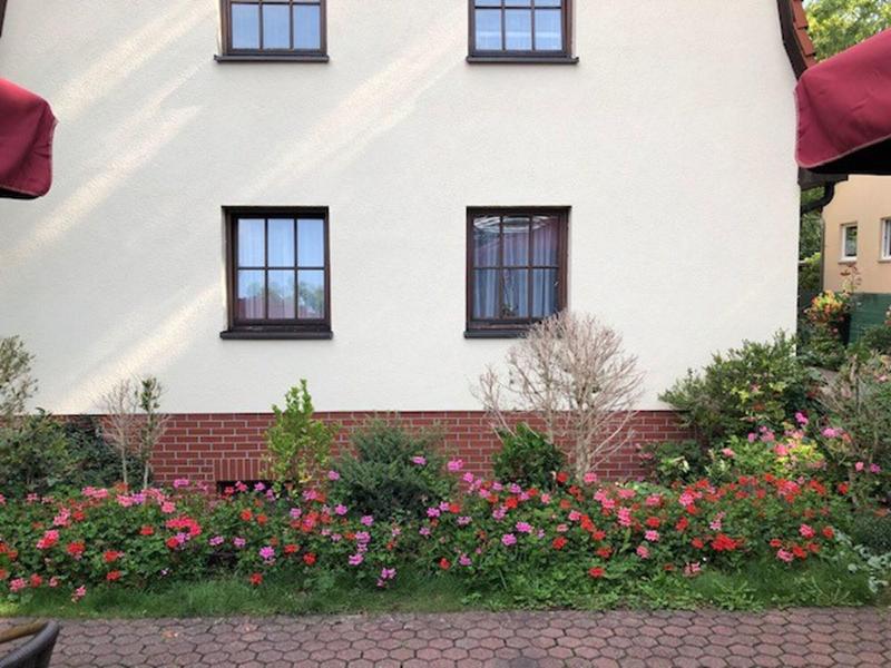 Hotel & Restaurant Diana - Genel