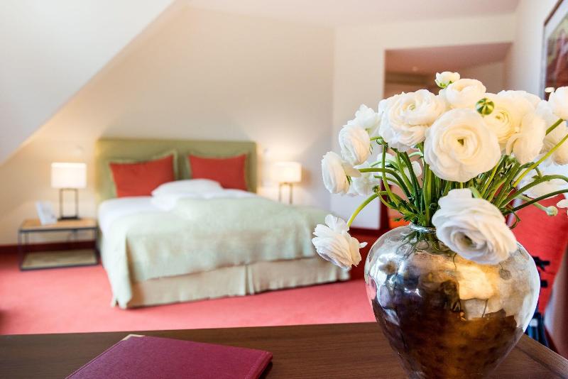 Parkhotel Rothof - Oda
