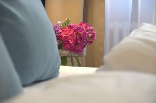 Lizz Hotel Munich fotoÄŸrafÄ±