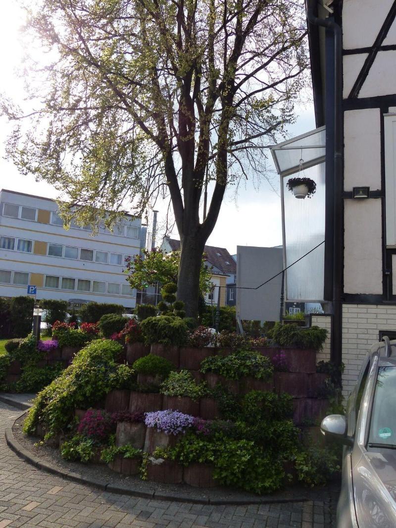 Hotel Theile Garni - Genel