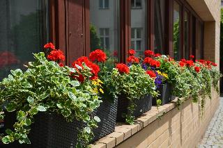 Hotel Aquino Berlin fotoÄŸrafÄ±