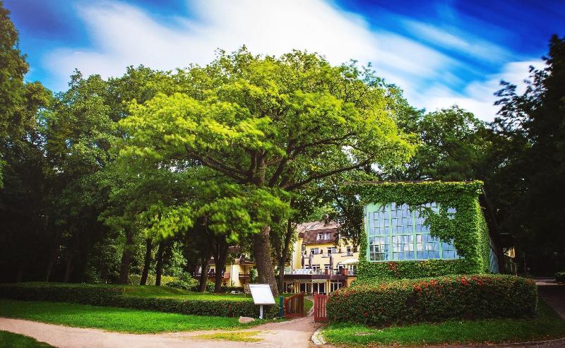 Kurhaus Am Inselsee - Genel