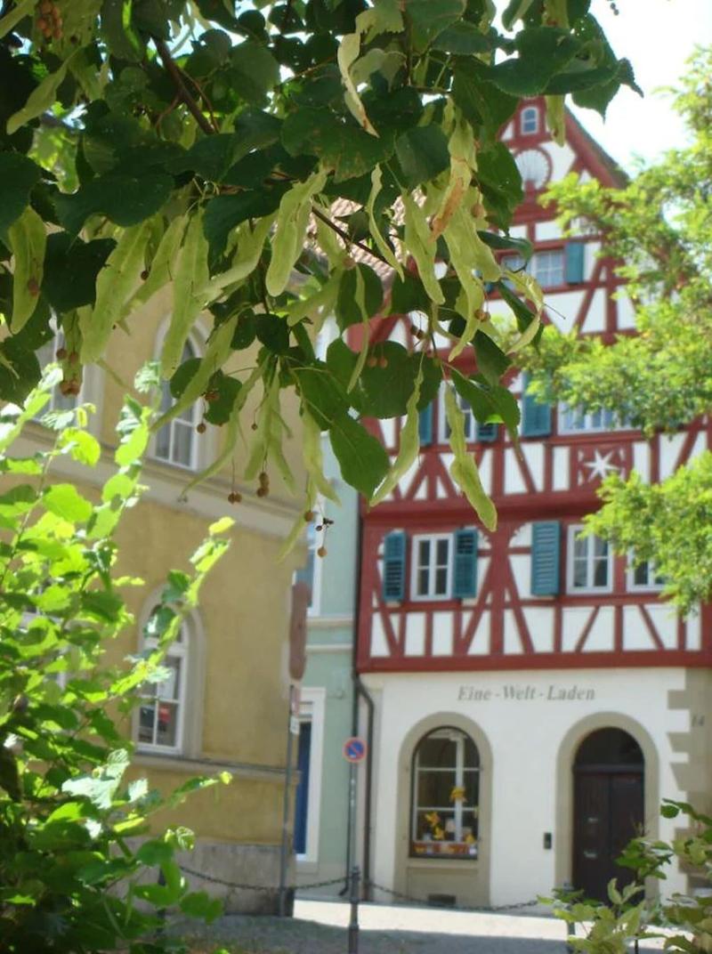 Bayerischer Hof - Aktivite