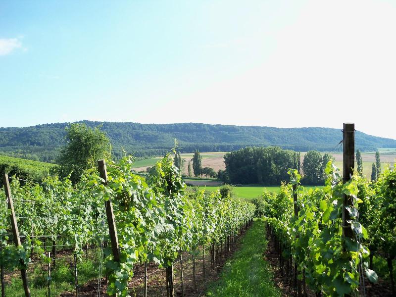Landhotel & Weingasthof Schwarzer Adler - Oda