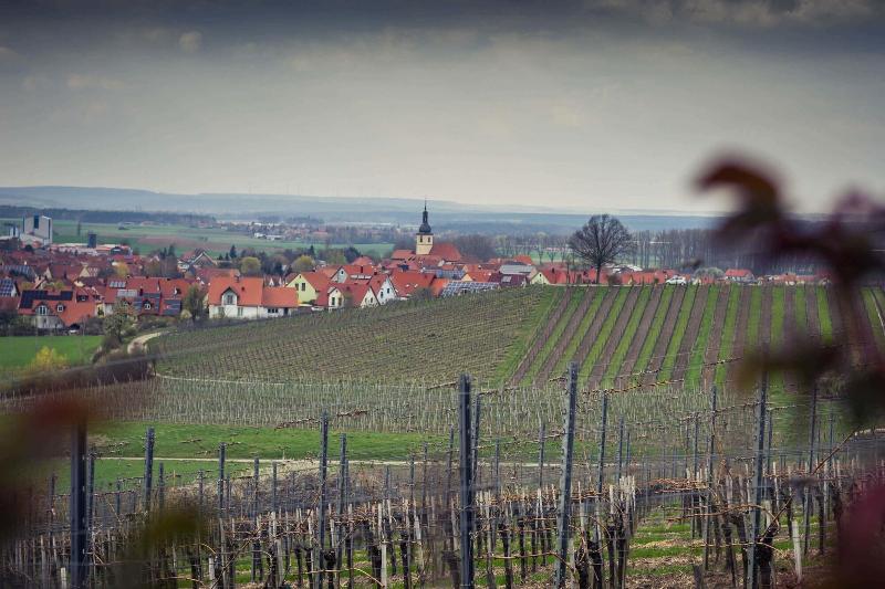 Landhotel & Weingasthof Schwarzer Adler - Oda