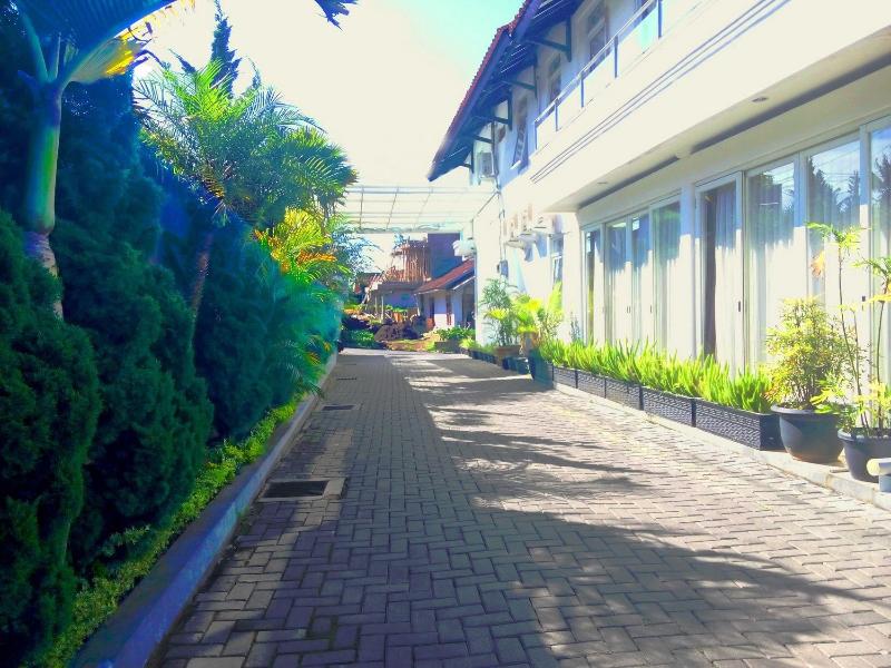 Villa Chocolate - Genel