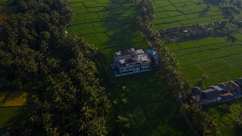 The Luxe Ubud, a Boutique Hotel - Genel