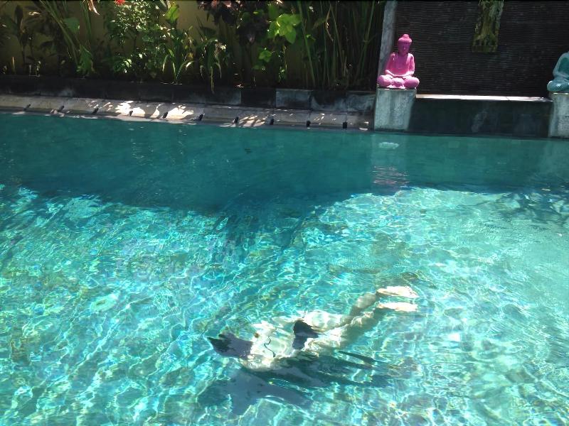 Arjuna Homestay - Aktivite
