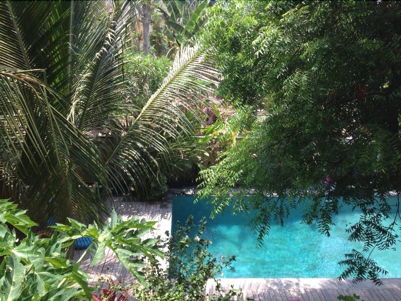 Arjuna Homestay - Aktivite