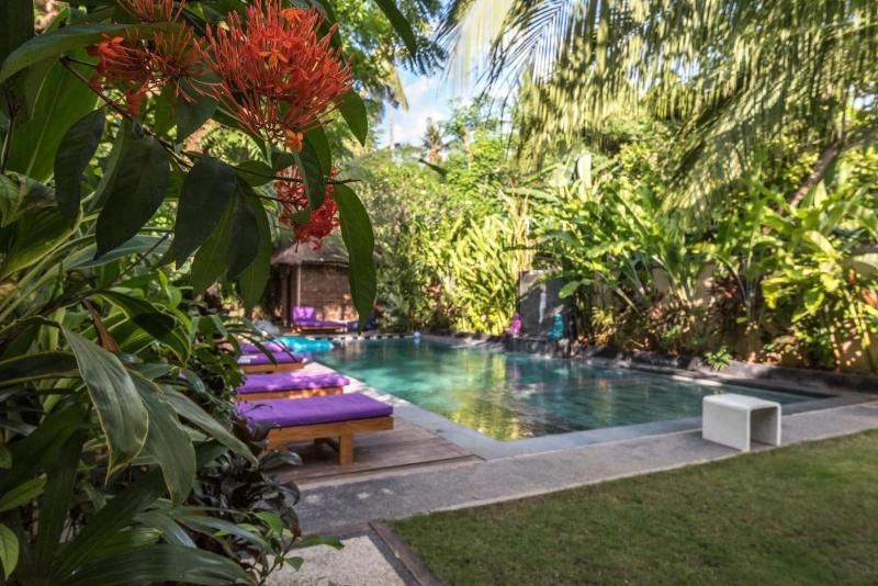 Arjuna Homestay - Aktivite