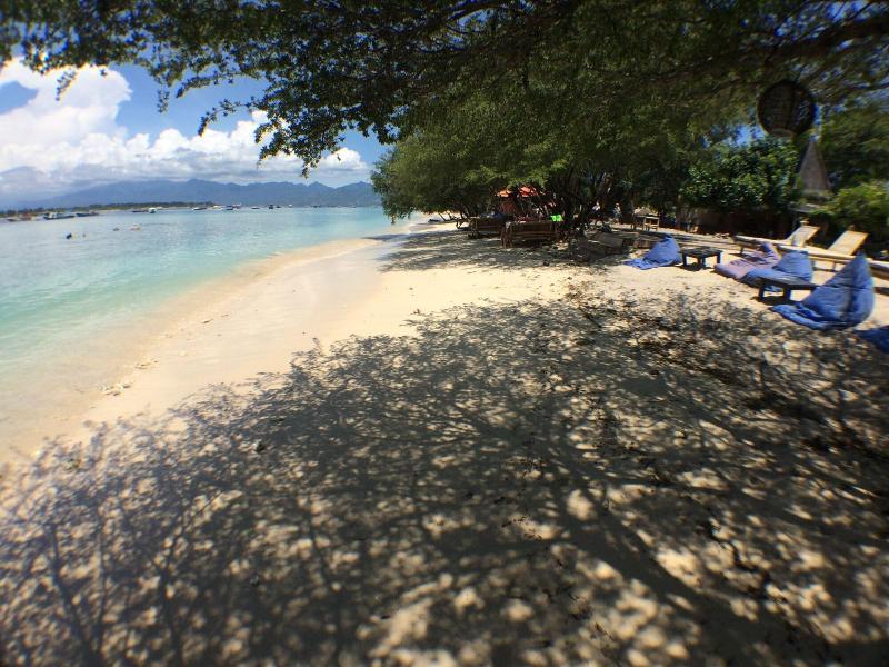 Coral Beach 2 Bungalow - Aktivite