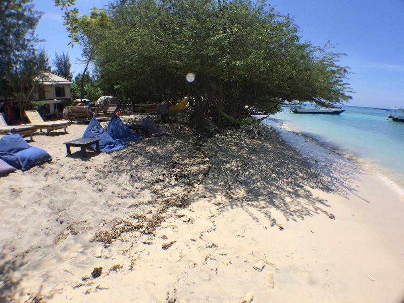 Coral Beach 2 Bungalow - Aktivite