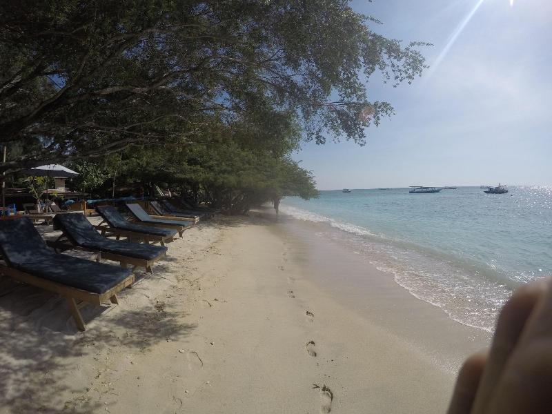 Coral Beach 2 Bungalow - Genel