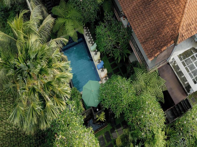 Green Sala Villa - Genel