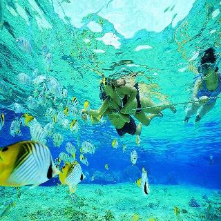 Nyuh Gading Home Stay Lembongan fotoÄŸrafÄ±