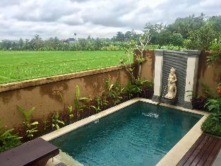 Uma Padi Villa fotoÄŸrafÄ±