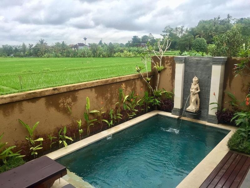 Uma Padi Villa - Aktivite