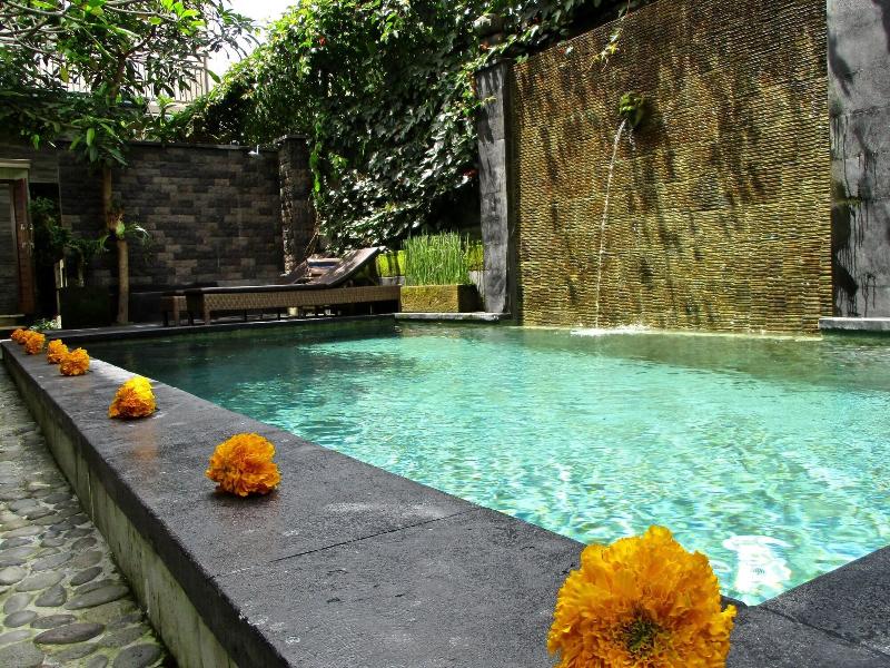 Uma Padi Villa - Aktivite