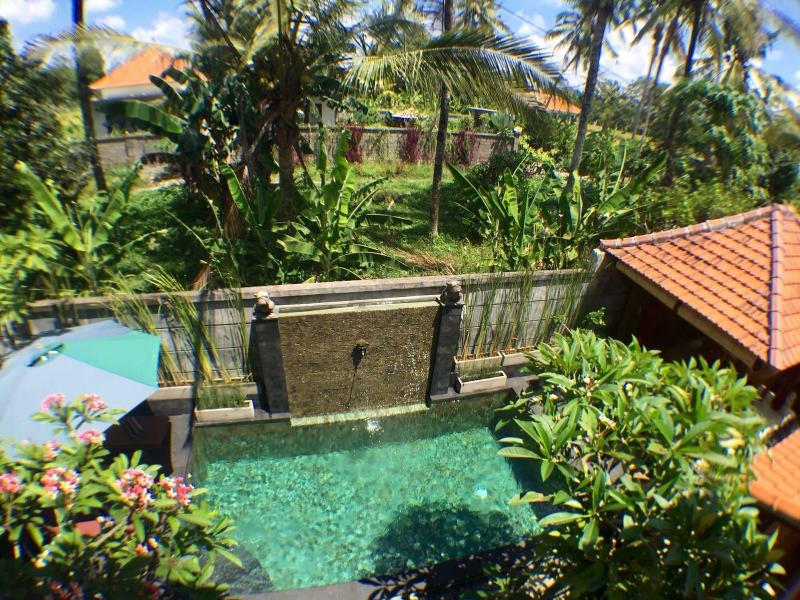 Uma Padi Villa - Genel
