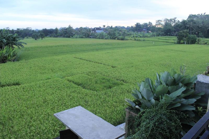Uma Padi Villa - Genel