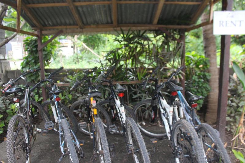 Pande Guest House Pemuteran - Aktivite