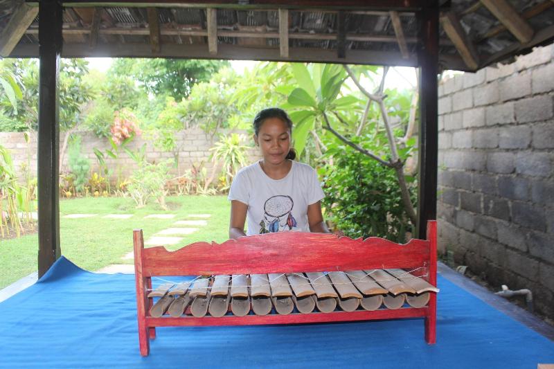 Pande Guest House Pemuteran - Aktivite