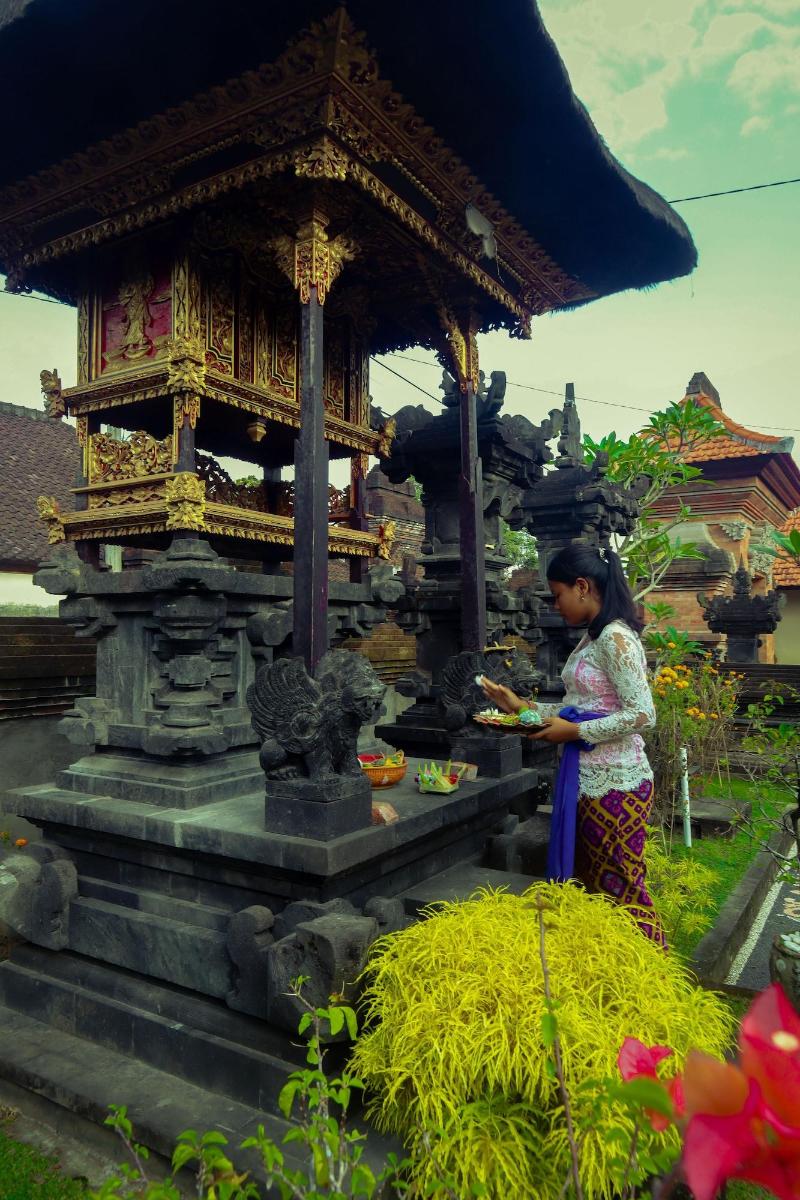 Rahayu House Ubud - Genel
