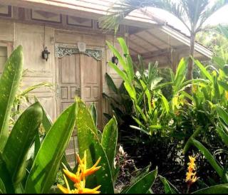 Pande Homestay fotoÄŸrafÄ±