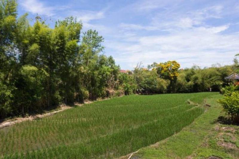 Pande Homestay - Oda