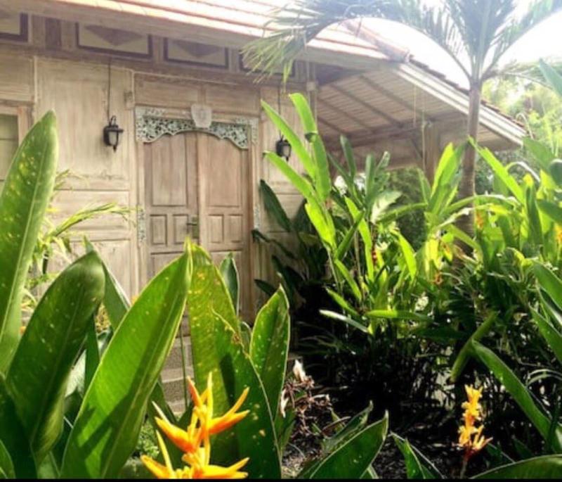 Pande Homestay - Oda