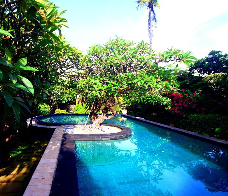 Sejuk Cottages - Aktivite