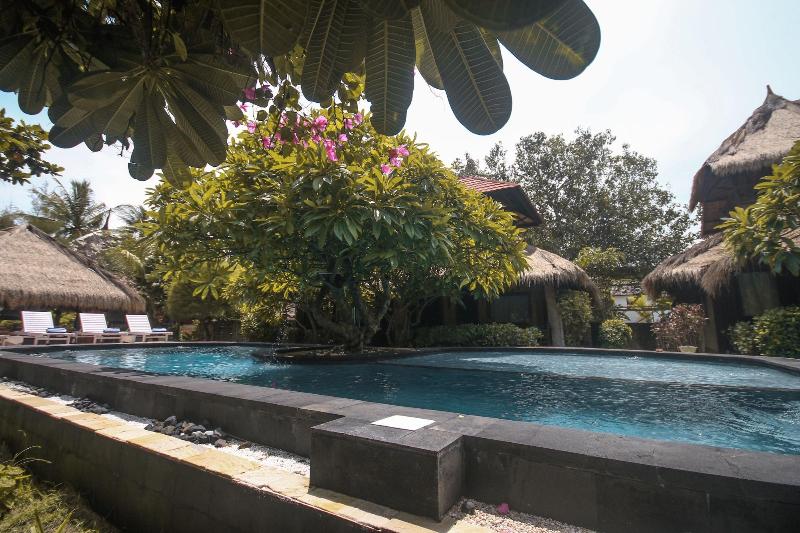 Sejuk Cottages - Aktivite