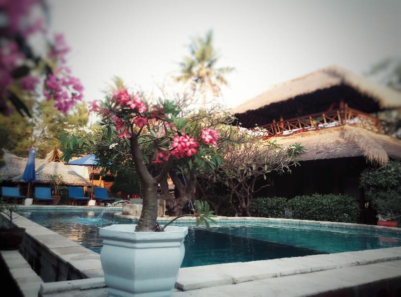 Sejuk Cottages - Genel