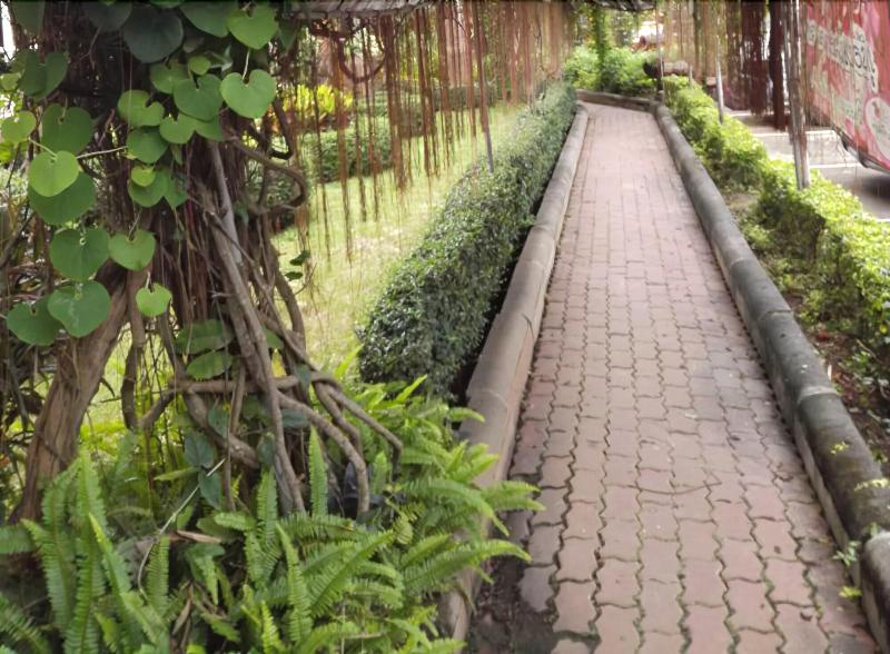 Phurua Bussaba Resort & Spa - Genel