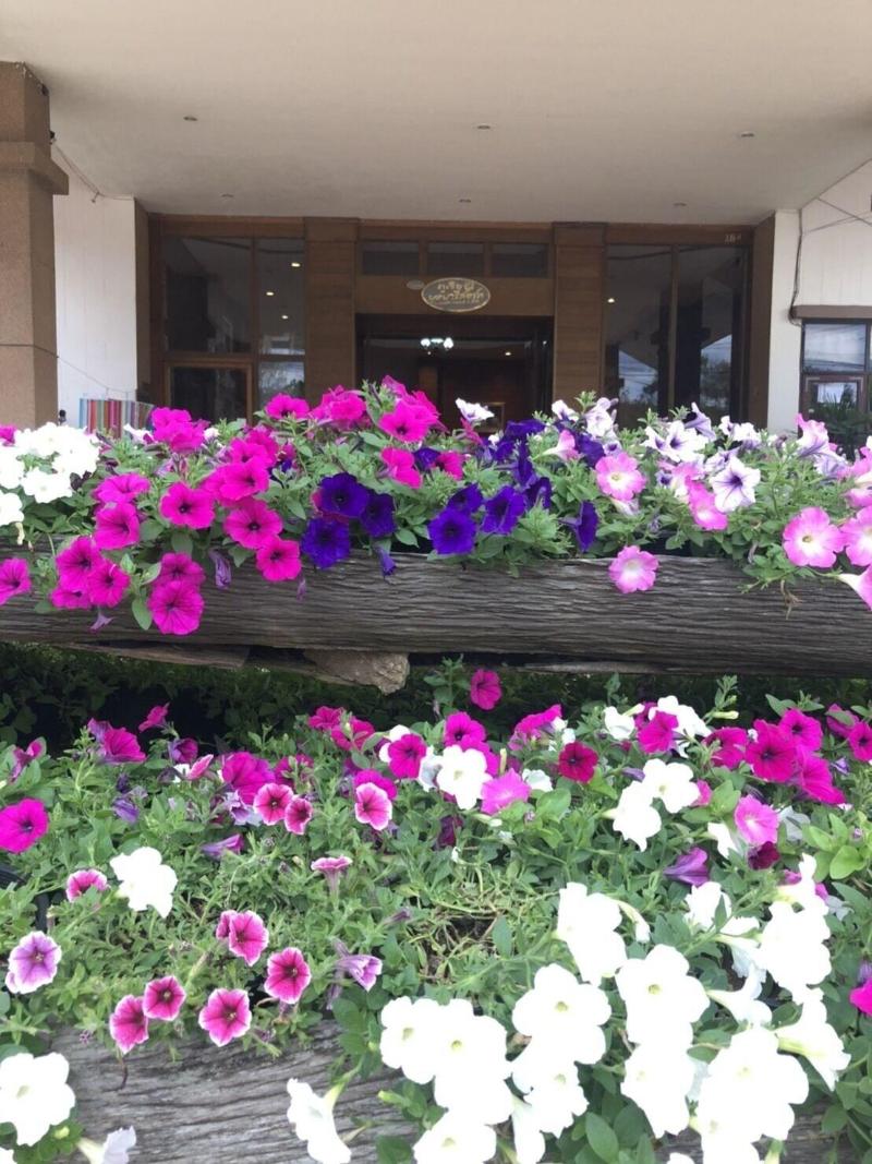 Phurua Bussaba Resort & Spa - Genel