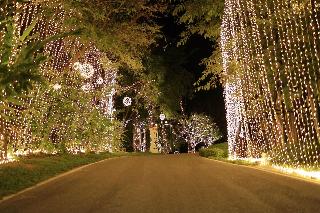 Vivace Khaoyai Resort fotoÄŸrafÄ±