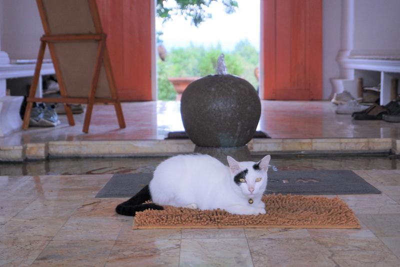 Amaravati Wellness Center Chiangmai - Lobi
