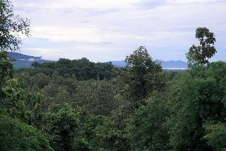 Amaravati Wellness Center Chiangmai fotoÄŸrafÄ±