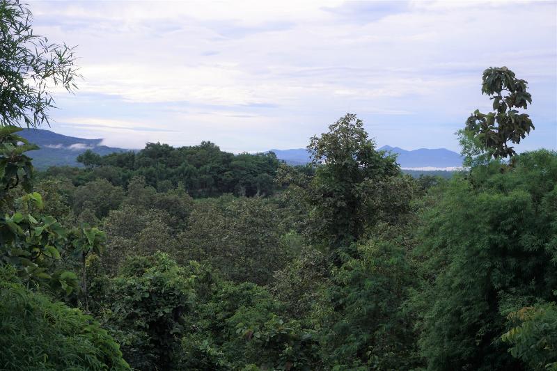 Amaravati Wellness Center Chiangmai - Genel